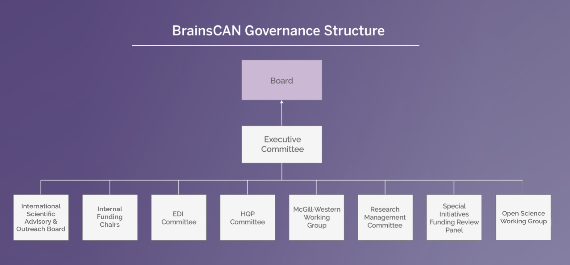 BrainsCAN Governance