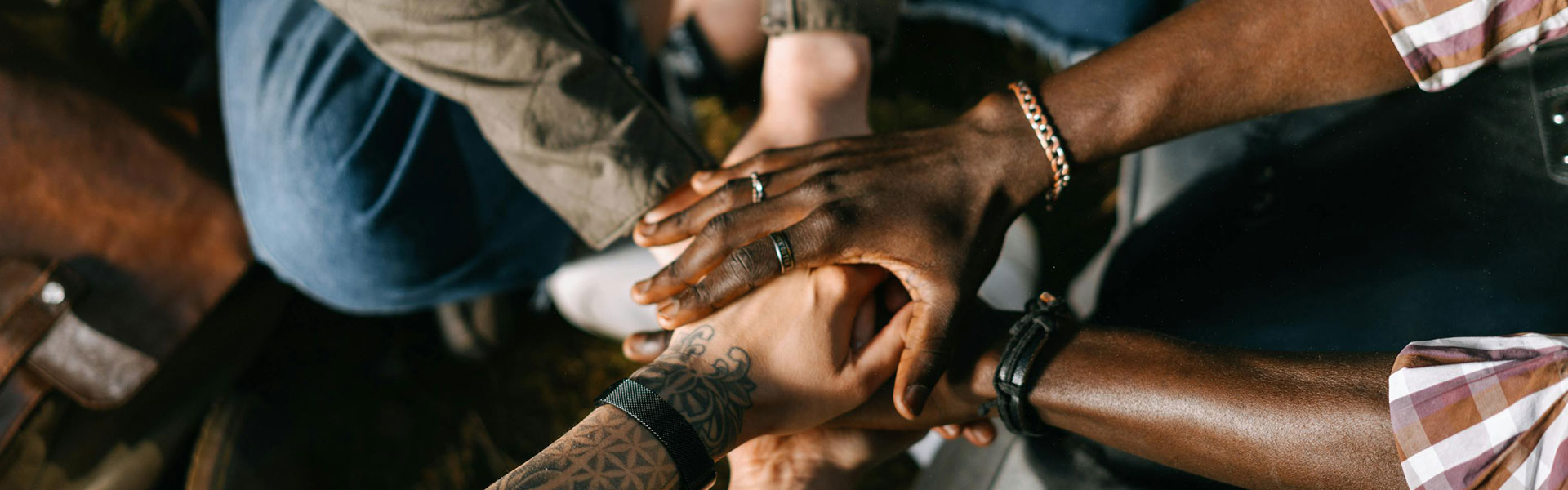 Institutional Partnerships
