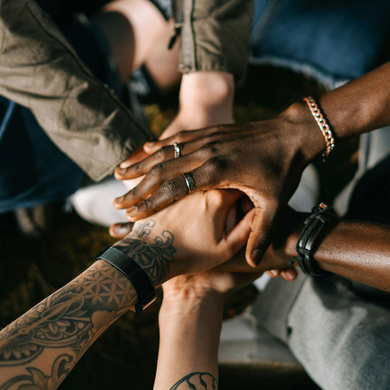 Institutional Partnerships