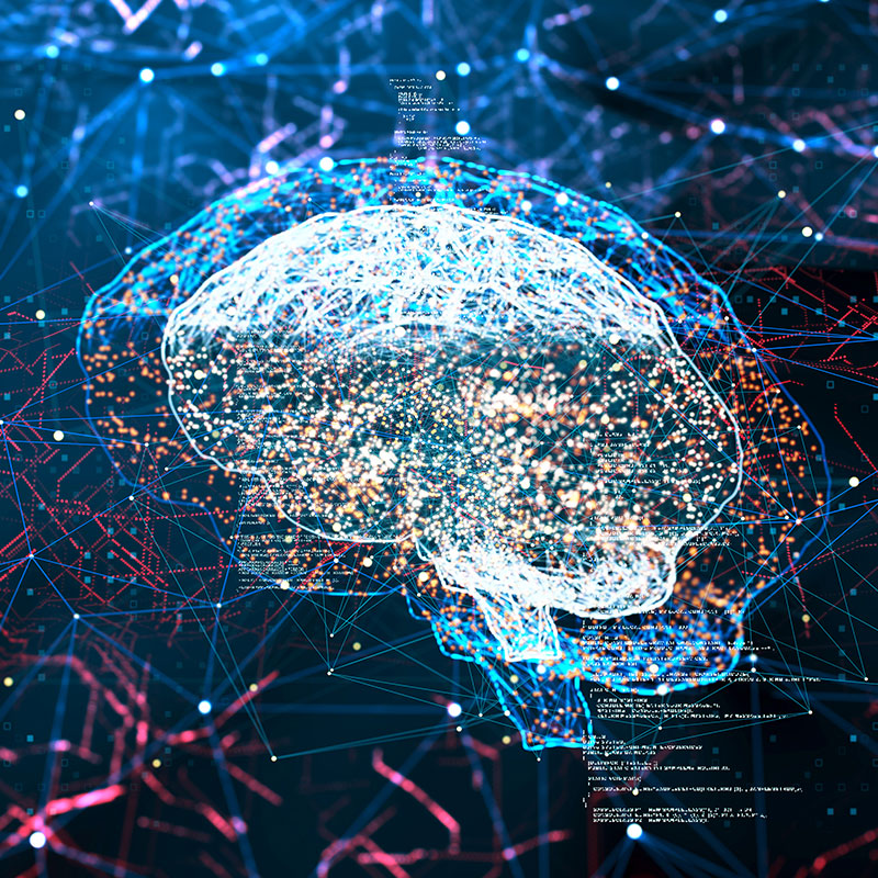 Novel Neuroscience