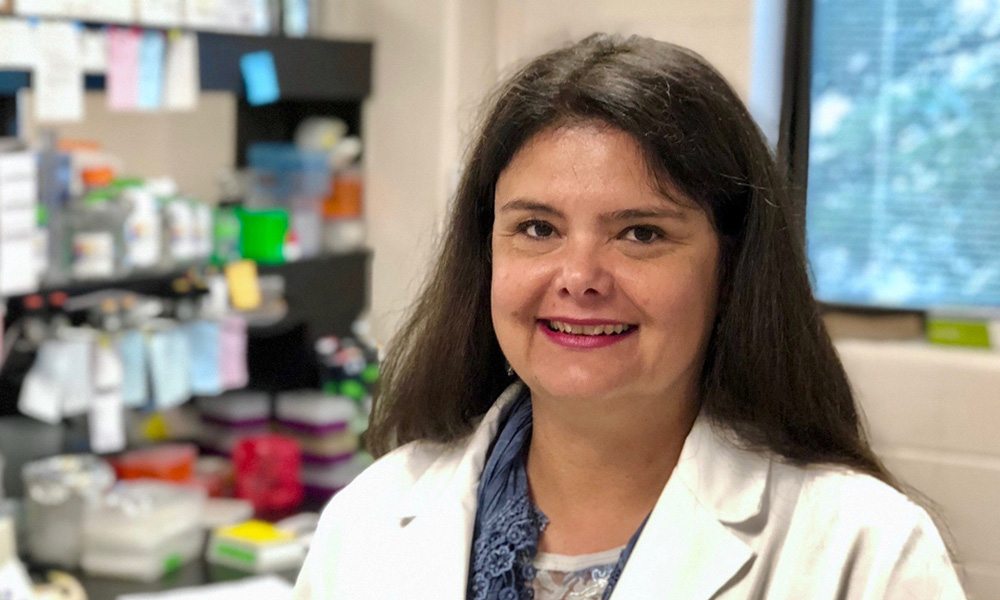 Dr. Vania F. Prado, PhD, DDS