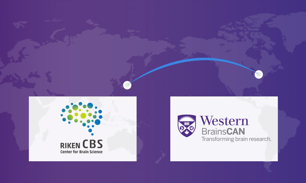 Western BrainsCAN and Riken CBS