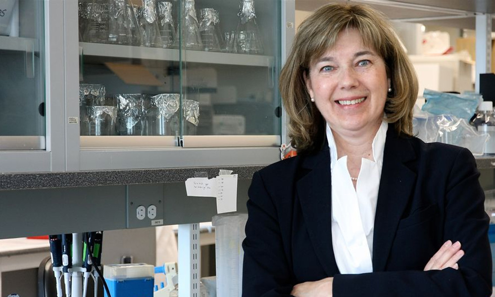 Dr. Jane Rylett, a Western University neuroscientist and BrainsCAN-aligned researcher.