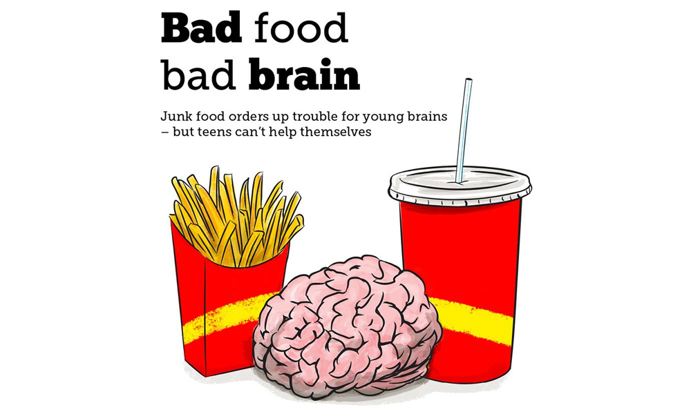 A new review paper from Western University has outlined how poor dietary choices in adolescence can lead to changes in the brain.