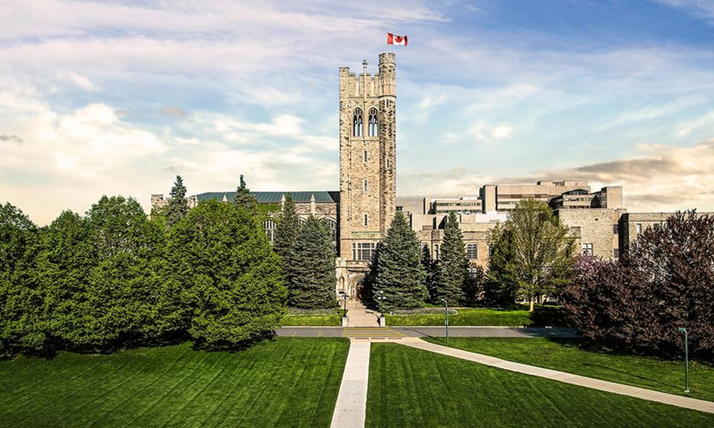 BrainsCAN's new EDI Committee launched a survey for the neuroscience community at Western to better understand the EDI needs during this difficult time.