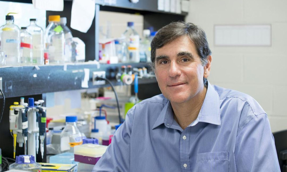 Marco Prado, PhD, one of five recipients of the Weston Foundation's 2024 Rapid Response grants.