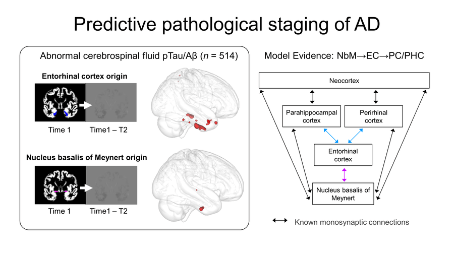 Predictive pathological staging of AD 