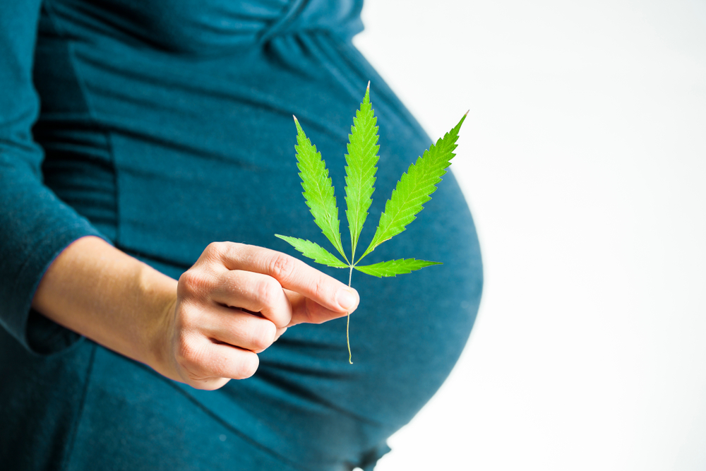 Qanda The Risks Of Cannabis Use During Pregnancy Qanda The Risks Of Cannabis Use During