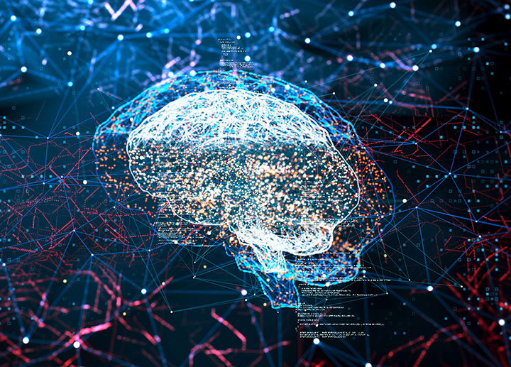 Novel Neuroscience