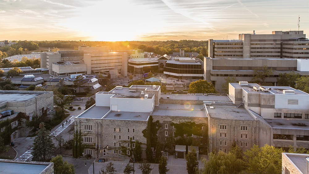 Diversity in Neuroscience Summer Internship BrainsCAN Western